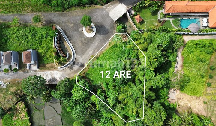 Tanah Komersil Kedungu Kediri Tabanan, Zona Kuning View Sawah Tanah Komersil Kedungu Kediri Tabanan, Zona Kuning View Sawah