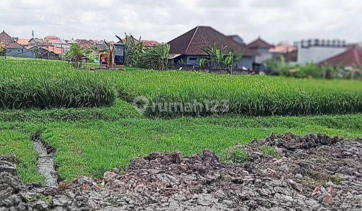 Tanah Datar Siap Bangun View Sawah Di Kerobokan Kaja 1