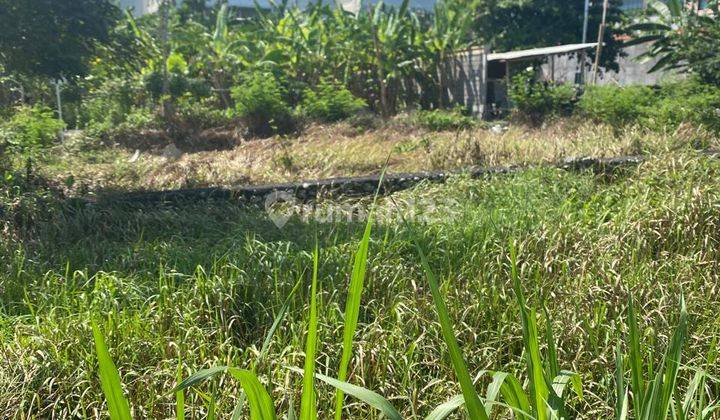 Tanah Seminyak Lingkungan Villa Murah Meriah