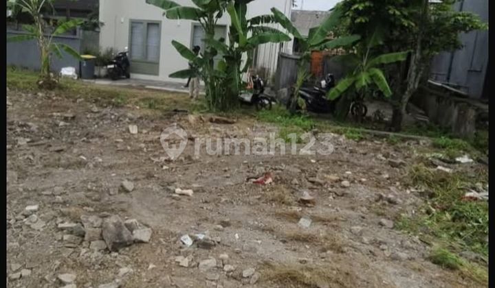 Tanah SHM Zona Kuning Jl Intan Permai Kerobokan Badung Bali Tanah SHM Zona Kuning Jl Intan Permai Kerobokan Badung Bali
