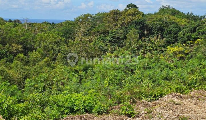 Land 37 acres in Greenbowl Ungasan area, South Kuta, Ocean View