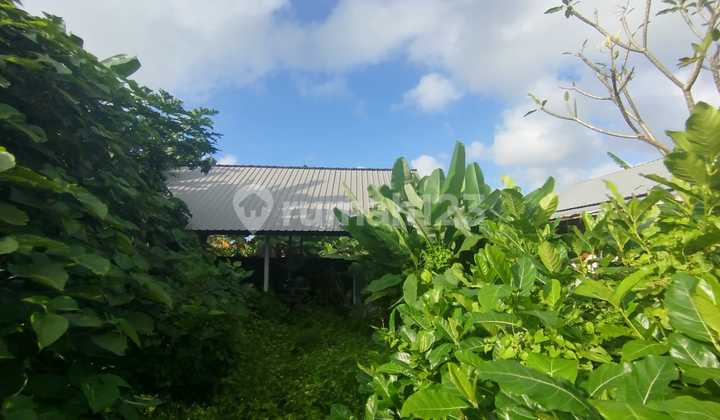 Tanah Peguyangan Dekat Sma 8 Denpasar Utara Kawasan Pemukiman