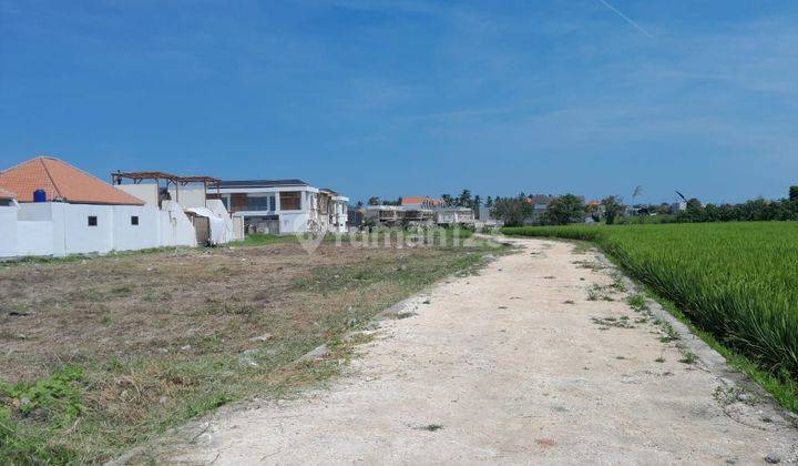 Premium Land View Sawah Abadi Ready to Build on Seseh Beach Bali 2