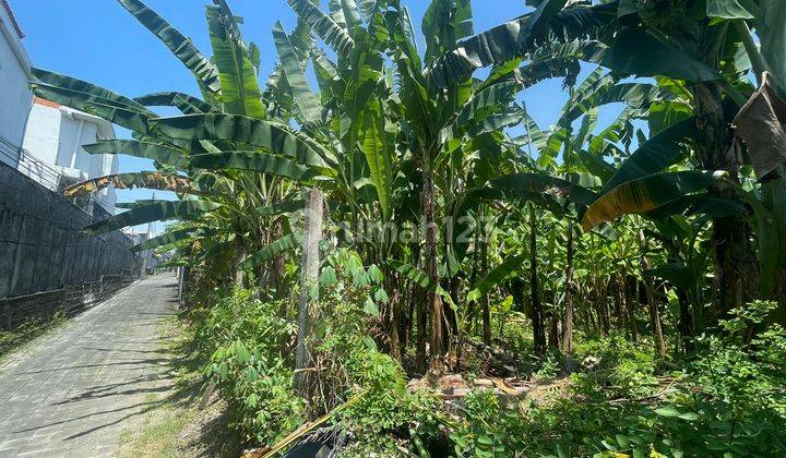Batu Belig Kerobokan - Tanah Kecil 315m² Lingkungan Pariwisata 2