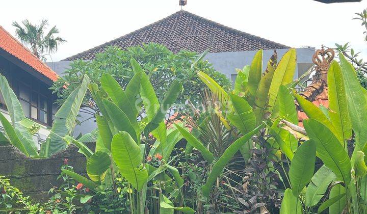 Tanah 7 Are Di Petitenget Seminyak ( Bonus 2 Unit Bangunan Villa) 1