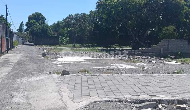 Tanah Hook Itr Kuning Batur Sari Sanur Kauh Denpasar Bali