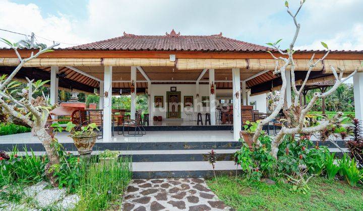 Villa Nyaman Bebas Polusi View Sawah Dan Gunung Di Tabanan 1