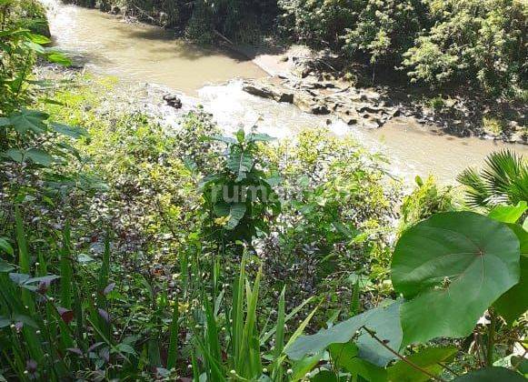 Villa View Jungle Loss Sungai Petani Tengkulak Kaja Gianyar 2