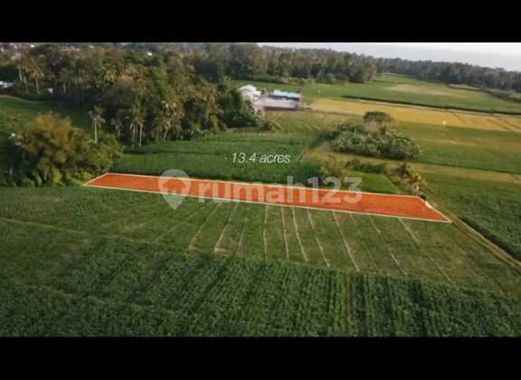 Affordable Land in Pasut Pink Zone Tabanan Bali, Rice Field View
