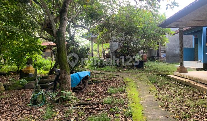 Tanah Strategis Akses Jalan Utama Cemagi Seseh Mengwi, Bali
