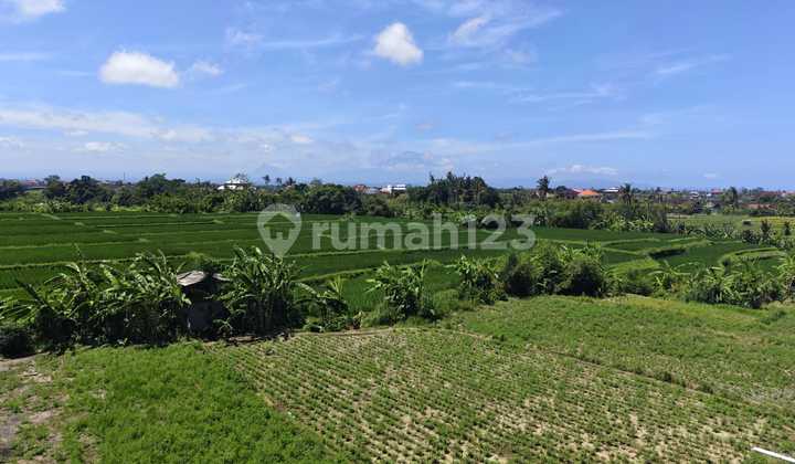 Tanah Murah Sukawati Ketewel Bali, View Sawah Dan Gunung Agung