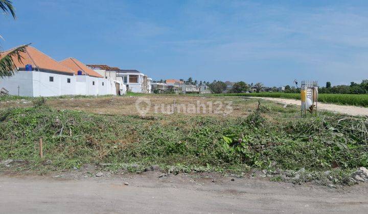 Land For Lease Full View Rice Fields Munggu Tabanan Bali 2