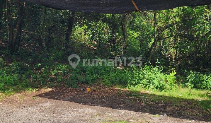 Tanah Premium 4,9 Are Tundun Penyu Jimbaran Lokasi Strategis