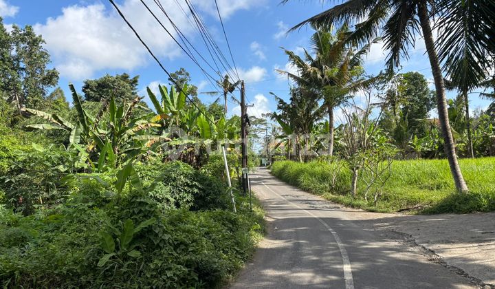 Tanah Lod Tunduh Ubud Bali, Zona Kuning Kawasan Villa