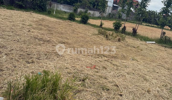 Tanah Area Premium Tukad Bilok Renon Denpasar Selatan Tanah Area Premium Tukad Bilok Renon Denpasar Selatan