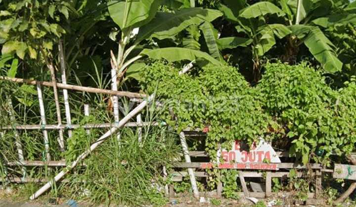 Tanah Datar 500m² Jalan Cargo Denpasar Utara, Siap Bangun