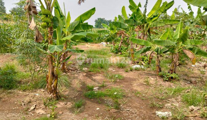 Tanah SHM Luas 1,6Ha Lokasi Prima di Cisauk 2