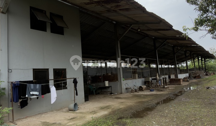 Tanah Industri + Bonus Bangunan (Gudang) - Curug, Tangerang