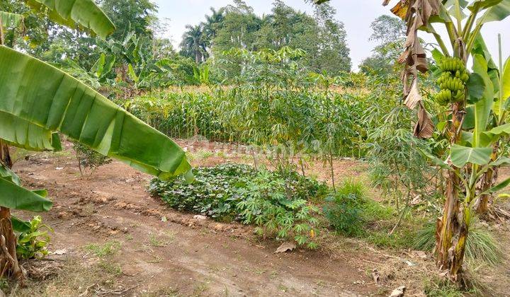 Tanah SHM Luas 1,6Ha Lokasi Prima di Cisauk 1