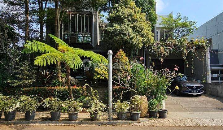 Rumah Kaca Elegan Desain Luxury Lokasi Tengah Kota Malang 1