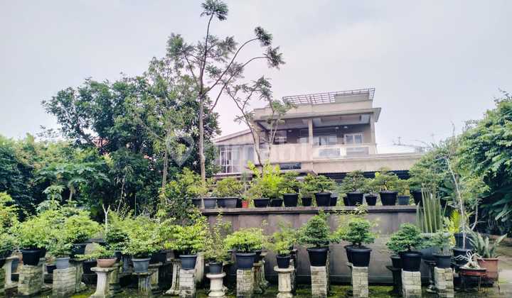 Rumah Mewah Tropikal Modern Siap Huni Furnish Dekat Tol Cimanggis 2