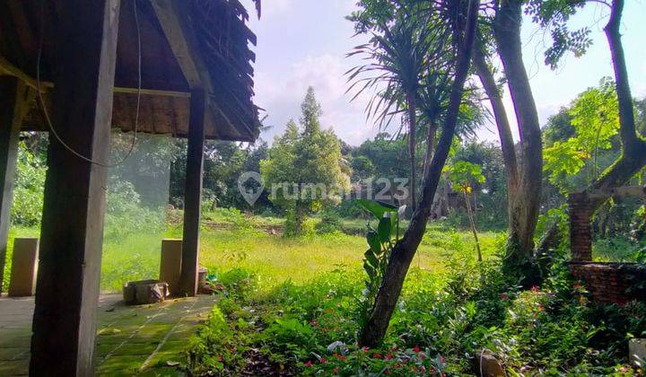 Tanah Bonus Rumah Tropis 2 Lantai Siap Huni 500 m2 di Ciganjur 2