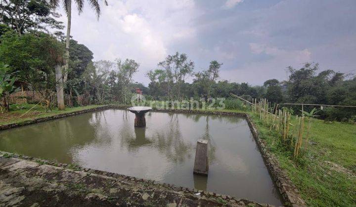 Tanah Produktif 8300 m2 SHM Bonus Bangunan dan Isinya di Cidahu 2