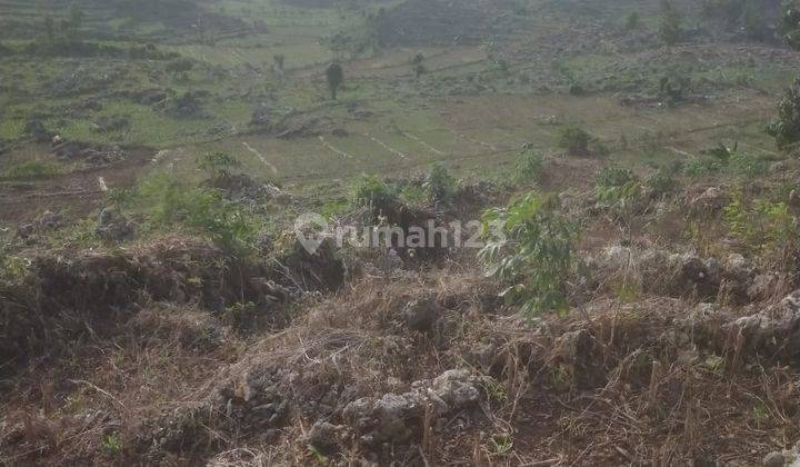 Tanah Dataran Tinggi Shm Desa Gunem Rembang Jawa Tengah 2