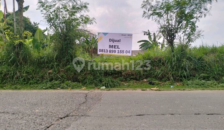 Tanah Siap Bangun Pinggir Jalan Raya Sulaiman Bedahan Sawangan Tanah Siap Bangun Pinggir Jalan Raya Sulaiman Bedahan Sawangan