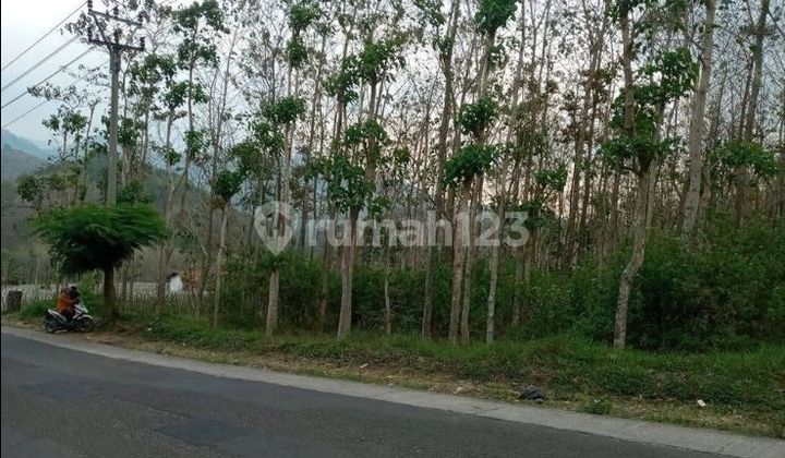 For Sale, Very Cheap Strategic Land in Kebon Jati on the Main Road of Cijapati, Garut.