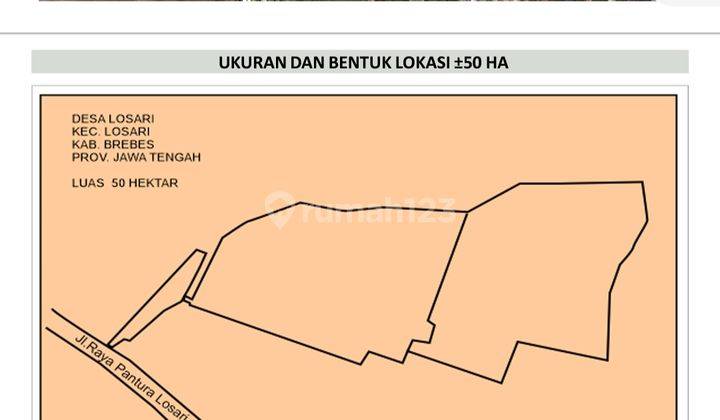 Tanah di Jl. Raya Pantura Losari Jawa tengah 50 ha 2