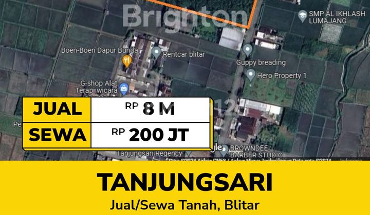 Wide Land in Blitar City