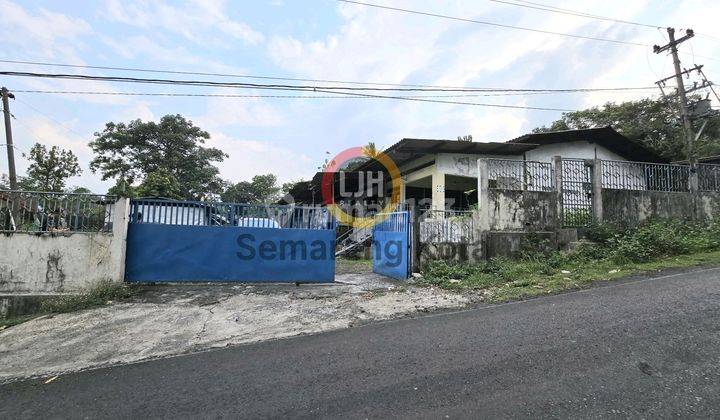 Gudang Di Nyatnyono 1