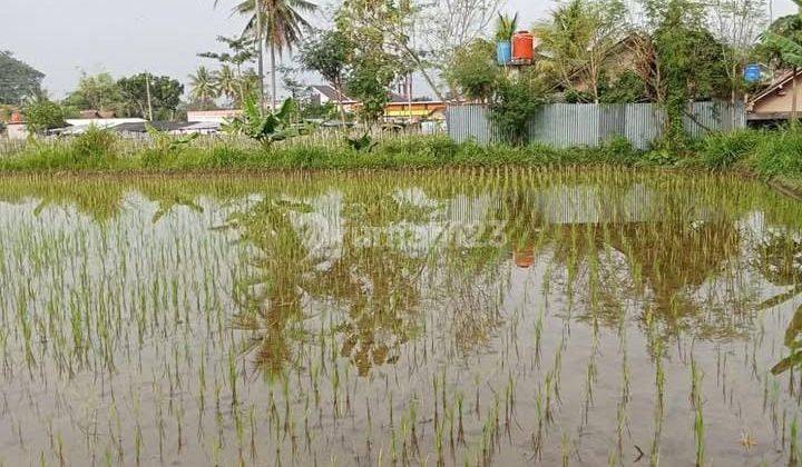 Di Jual Tanah Mainroad Di Bawah Harga Pasar, Di Muntilan Magelang Jawa Tengah 1