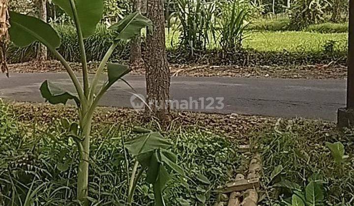 Di Jual Tanah Mainroad Di Bawah Harga Pasar, Di Muntilan Magelang Jawa Tengah 2