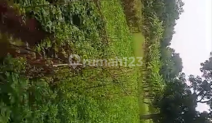 Cheap Land for Sale in Tigaraksa Area, Tangerang