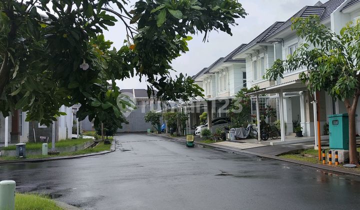 Tanah Kavling Murah Dalam Cluster Pinewood.banjar Wijaya Tanah Kavling Murah Dalam Cluster Pinewood.banjar Wijaya