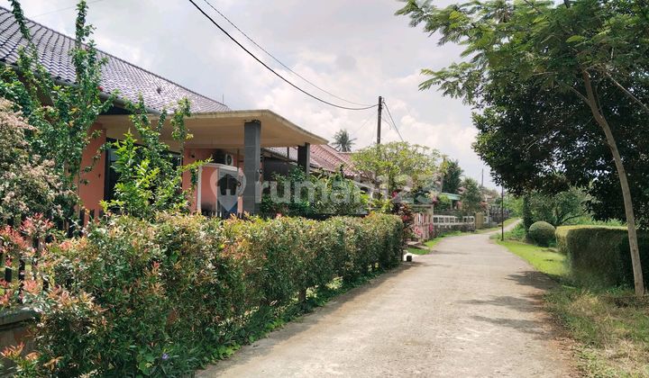 Jual Rumah Asri dan Luas di Komplek Arco Sawangan, Depok Jual Rumah Asri dan Luas di Komplek Arco Sawangan, Depok