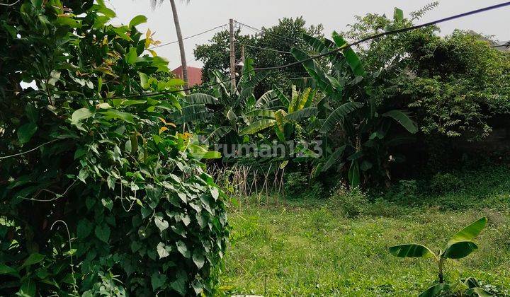 Tanah pinggir situ Cilodong Depok, lokasi sejuk 2