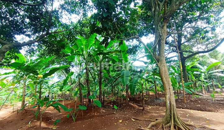 Dijual Segera Tanah Untuk Cluster Di Cilangkap, Tapos, Depok