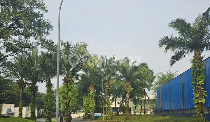 Warehouse for Sale in Taman Tekno, BSD City. Warehouse in Taman Tekno BSD, Setu, Setu, South Tangerang City, Banten, Indonesia, 15314, BSD. Warehouse for Sale in Taman Tekno, BSD City. Warehouse in Taman Tekno BSD, Setu, Setu, South Tangerang City, Banten, Indonesia, 15314, BSD.