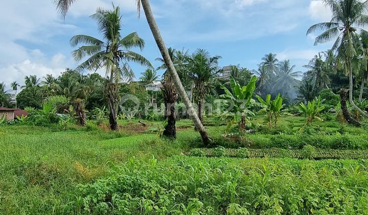 Lahan Komersil Pinggir Jalan Raya di Tanah Patah Kota Bengkulu