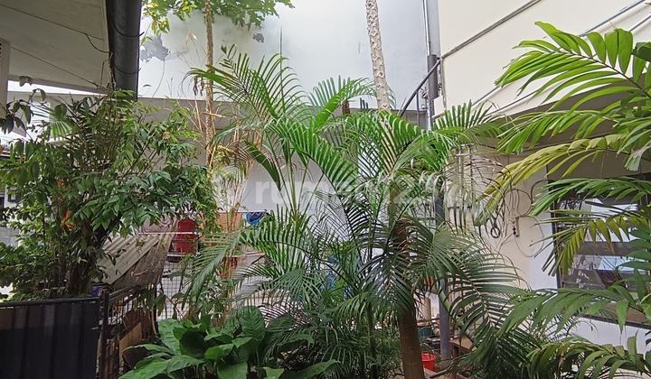 Rumah Hitung Tanah di Menteng, Jakarta Pusat 2