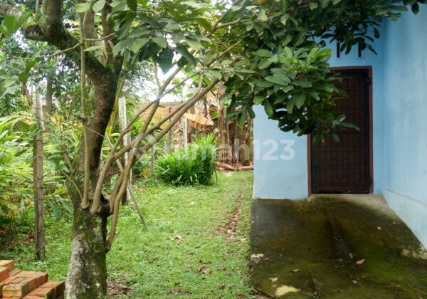 Rumah Minimalis Dijual Cepat di Kota Baru Jambi 8