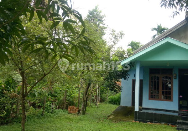 Rumah Minimalis Dijual Cepat di Kota Baru Jambi 11