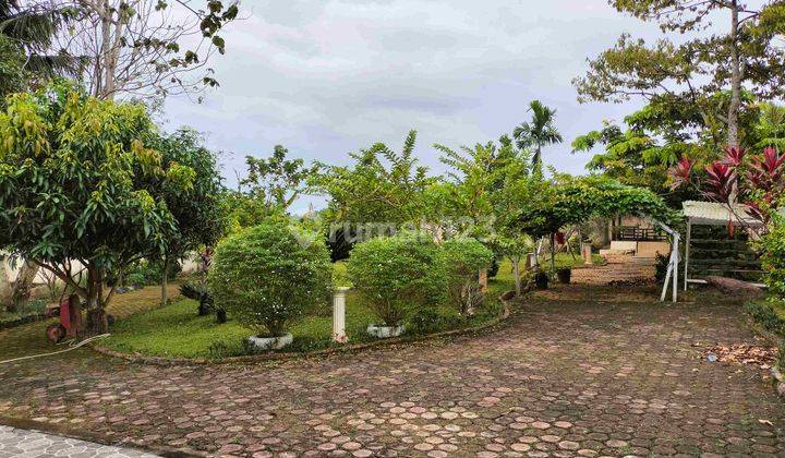 Jual Rumah Luas Tanah 18 Tumbuk Di Jambi 6