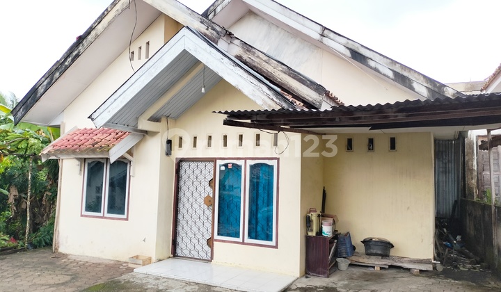 Rumah 200 Juta Dijual Murah Di Jambi 4