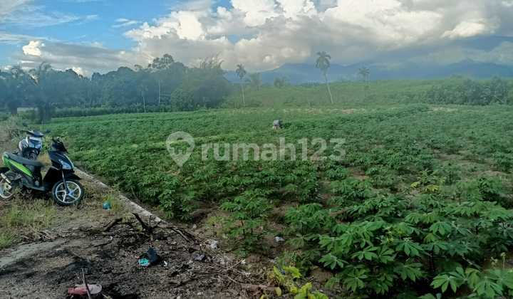 Tanah dekat Bandara Internasional Minang Kabau Lokasi Strategis Harga Nego 