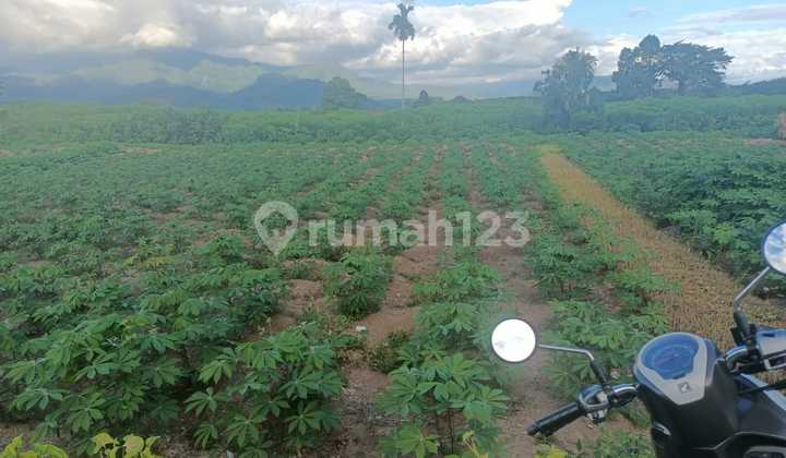 Tanah dekat Bandara Internasional Minang Kabau Lokasi Strategis Harga Nego Tanah dekat Bandara Internasional Minang Kabau Lokasi Strategis Harga Nego