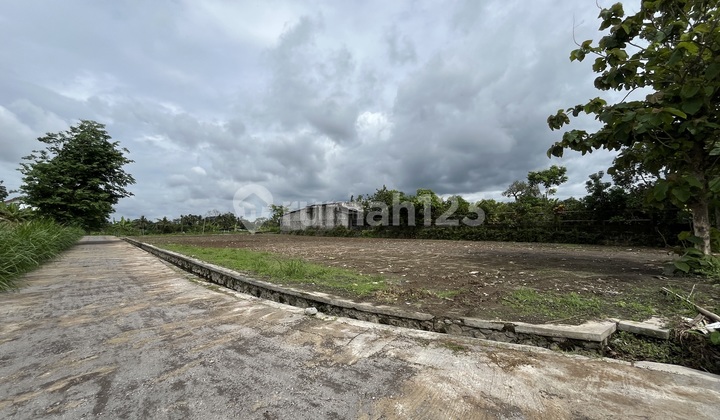 Tanah Pekarangan di Jalan Besi Kaliurang KM 12 Jogja Tanah Pekarangan di Jalan Besi Kaliurang KM 12 Jogja